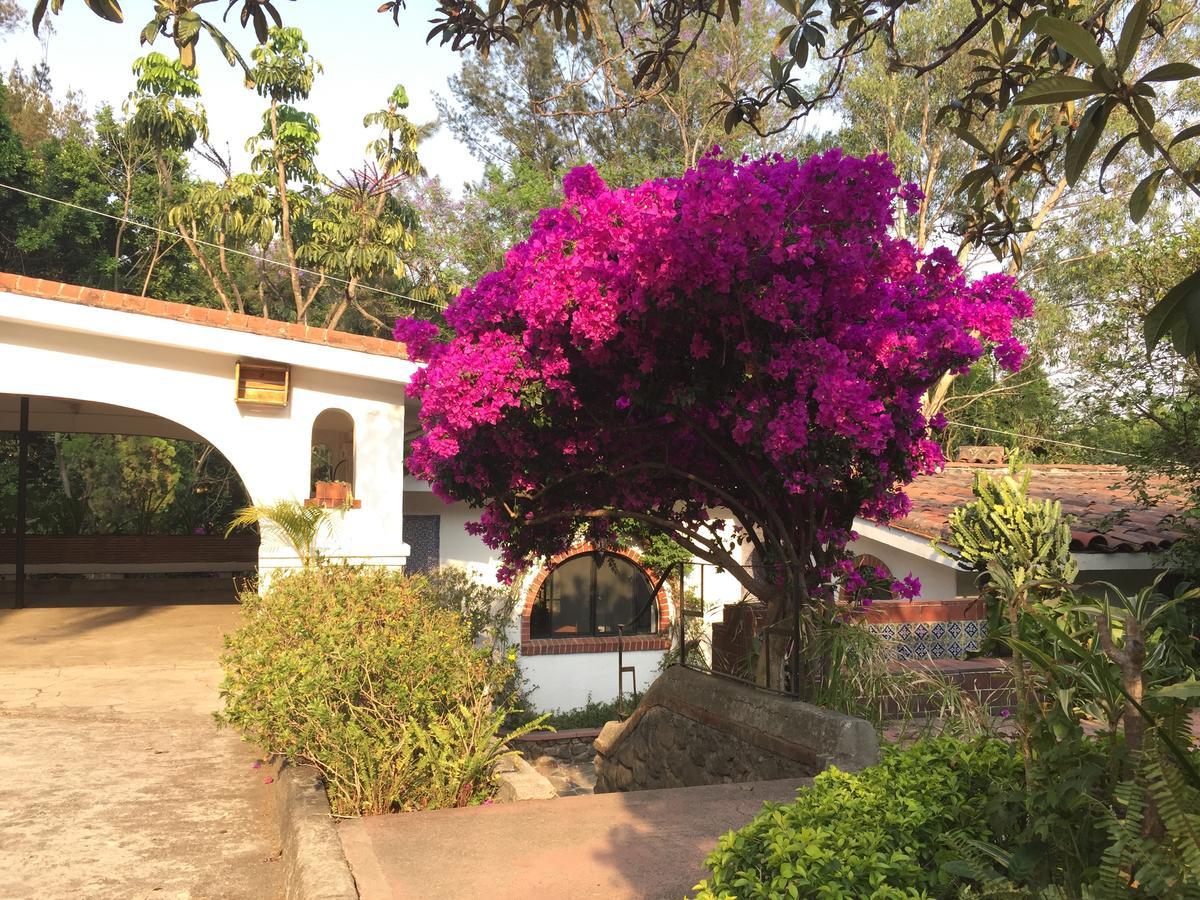 Villas Bellavista Cuernavaca Zewnętrze zdjęcie