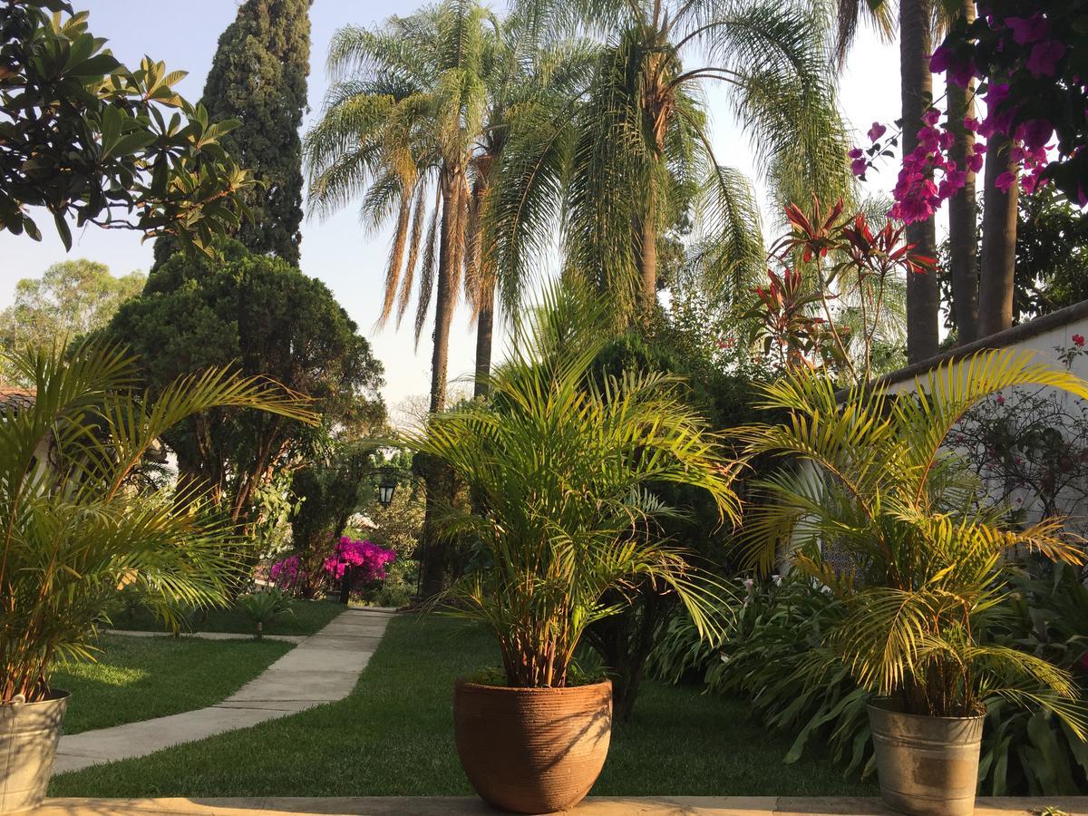 Villas Bellavista Cuernavaca Zewnętrze zdjęcie
